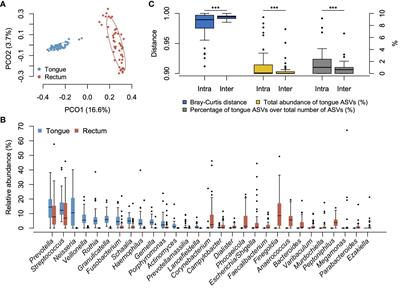 Oral-to-rectum microbial transmission in orthopedic patients without a history of intestinal disorders